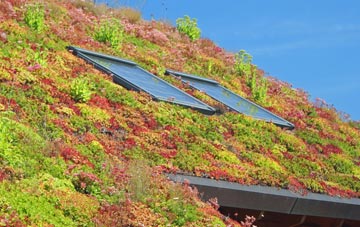 Airy Hill living roof systems