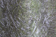 Airy Hill fibreglass roof work